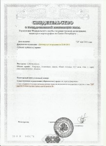 СВИДЕТЕЛЬСТВО.jpg