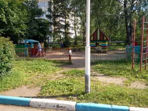 сад5.jpg