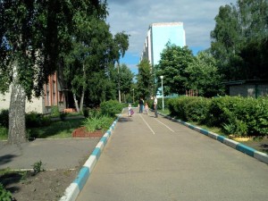 сад7.jpg