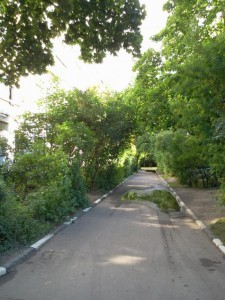 02.jpg