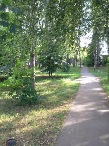 96.jpg