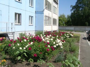 !7_06_2013 -1 [].JPG