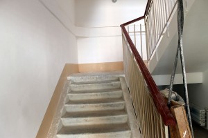 IMG_2875.jpg