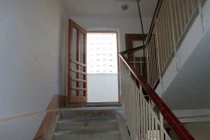 IMG_2876.jpg
