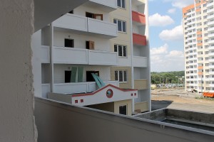 IMG_2877.jpg