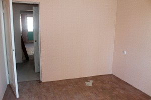 IMG_2894.jpg