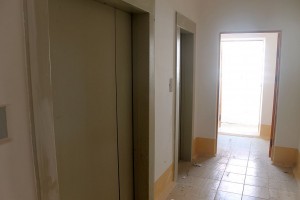 IMG_2897.jpg