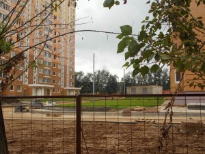 газон между дворами.jpg
