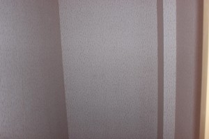 IMG_2121.JPG