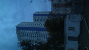 DSC_0529.jpg
