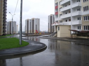 IMGP7478.jpg