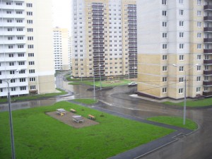 IMGP7484.jpg