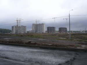 IMGP7494.jpg