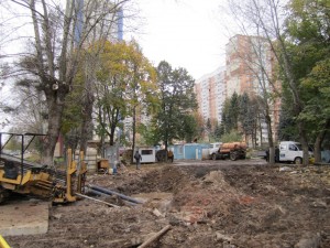 IMG_5010.JPG
