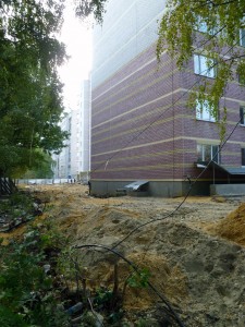 P1030038a.jpg