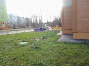20131102_152952.jpg