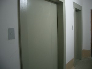 IMGP7528.jpg
