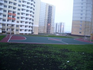 IMGP7512.jpg