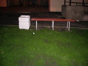 IMGP7532.jpg