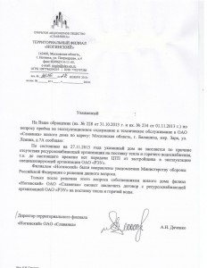 Славянка Ногинск 27.11.2013 001.jpg