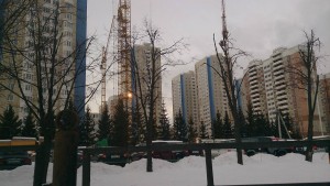 DSC_0075.jpg