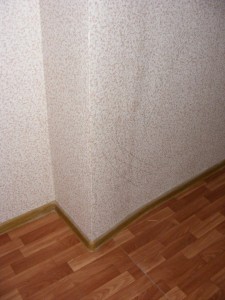 DSCF5786.JPG