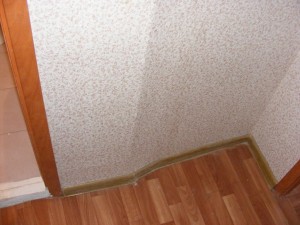 DSCF5808.JPG