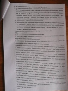 P1050394.jpg