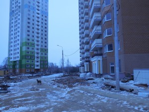 3 корпус двор.JPG