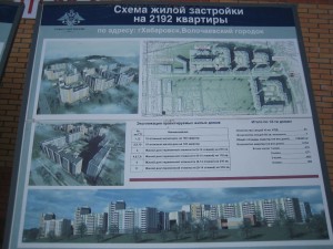 IMG_3781.JPG