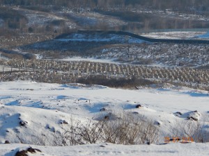 DSCN1626.JPG