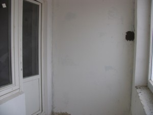 IMG_1838.JPG