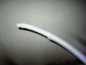 IMG_6051.JPG