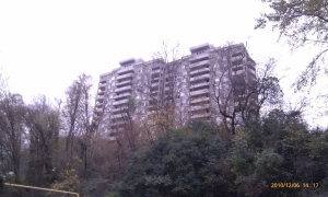 image3.png