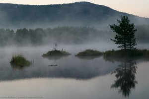 красота2.jpg