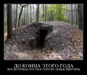 квартиры оун.jpg