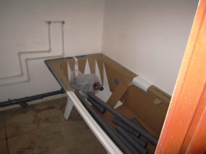 IMG_6319.JPG