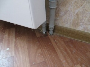 IMG_3391 1.jpg