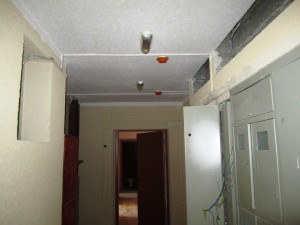 IMG_6430.JPG