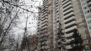 DSC06030.JPG