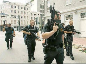 Дикие гуси.jpg