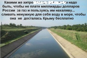 мысль .jpg