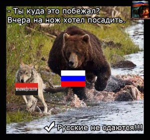медведь и волк.jpg