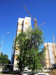 IMG_6885.JPG