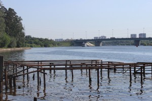 IMG_4849.JPG