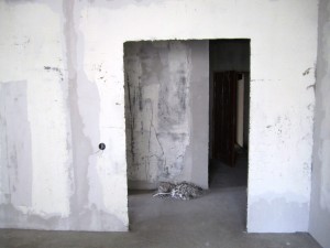 IMG_0031.JPG