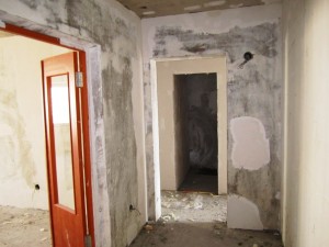 IMG_6932.JPG