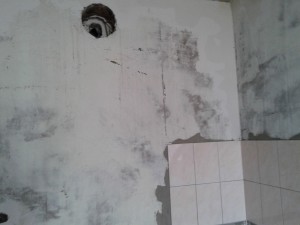 20140620_152443.jpg