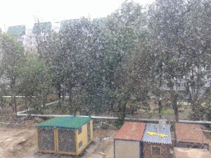 20140620_153716.jpg