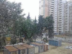 20140620_153724.jpg